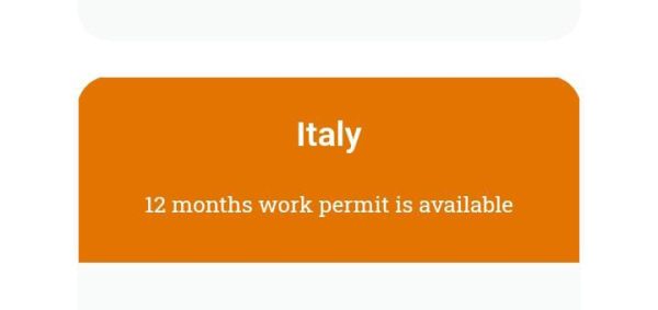 1 year Italy work permit